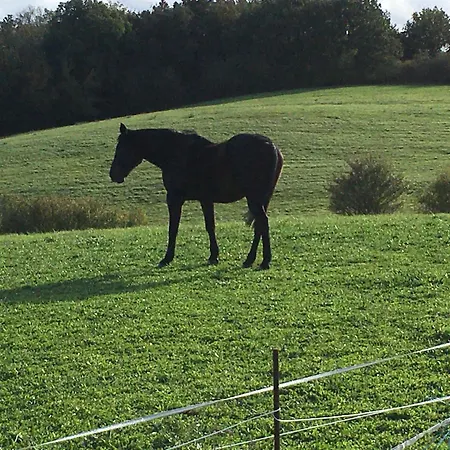 منزل للإقامة Chez Ashley