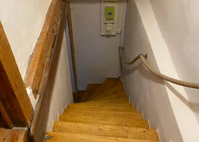 Проживание в семье Chez Ashley *