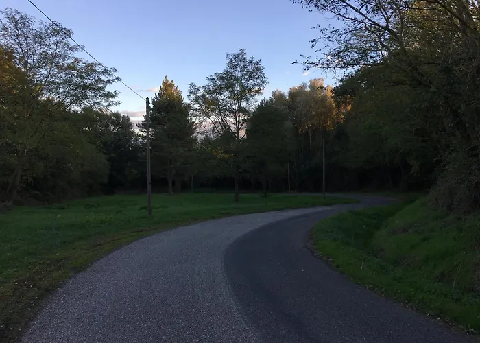 Проживание в семье Chez Ashley *