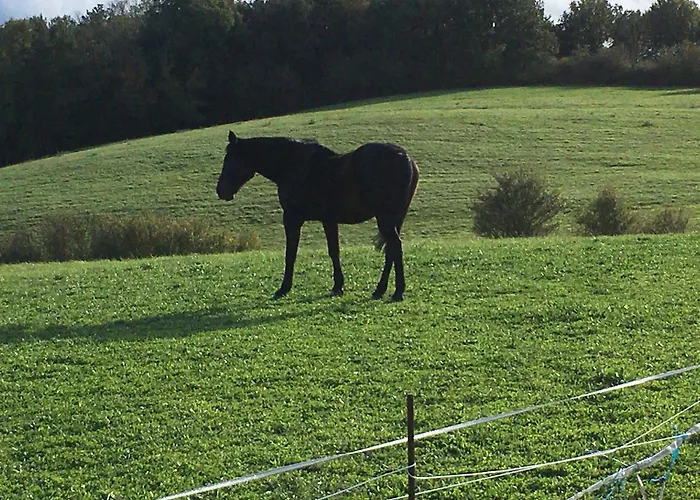 Проживание в семье Chez Ashley